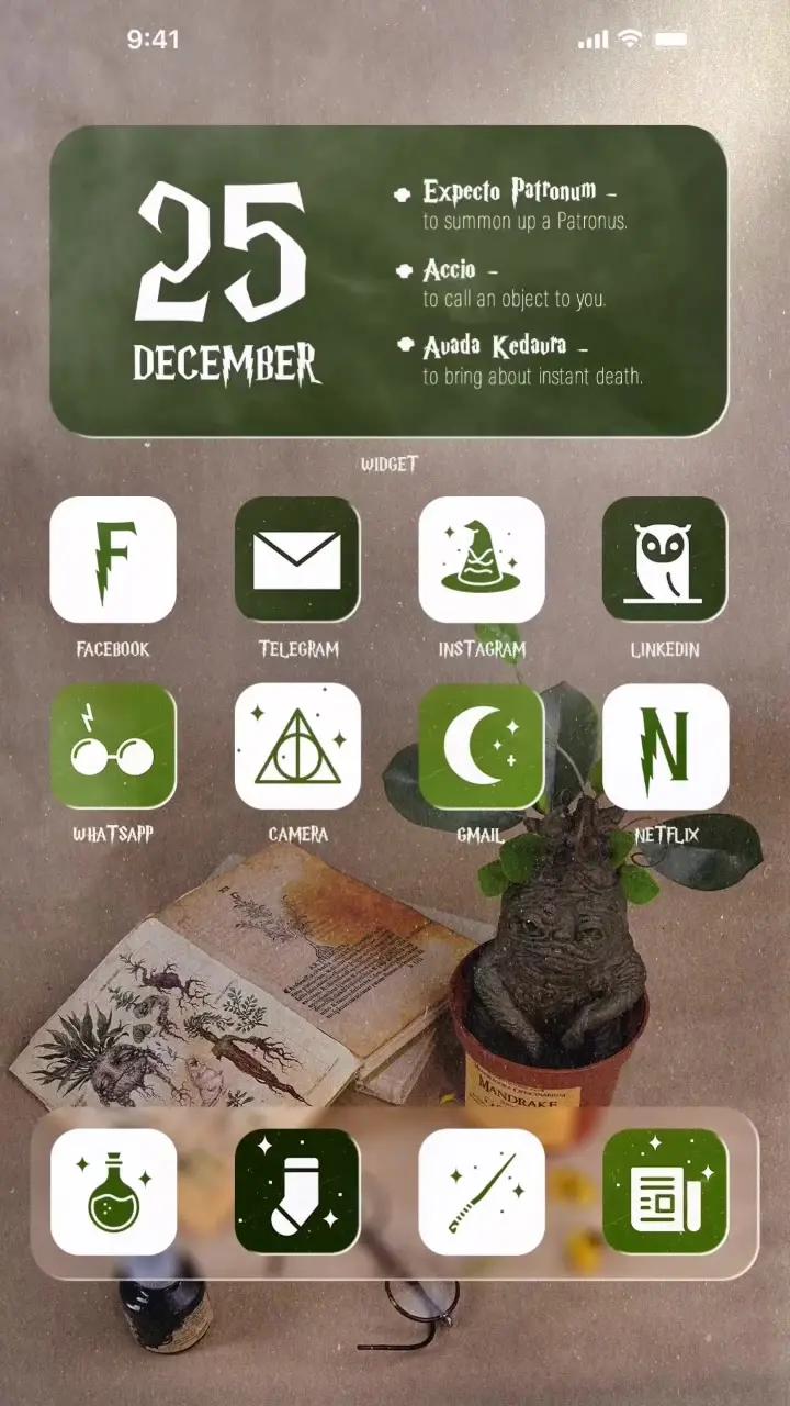 Do you like the Harry Potter books and movies? 🪄 #iphonetricks #iphonetips #aesthetictheme #christmastheme #christmasmood #fyp #themifyapp