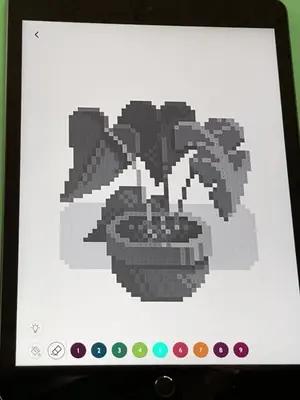 Get creative and mindfull