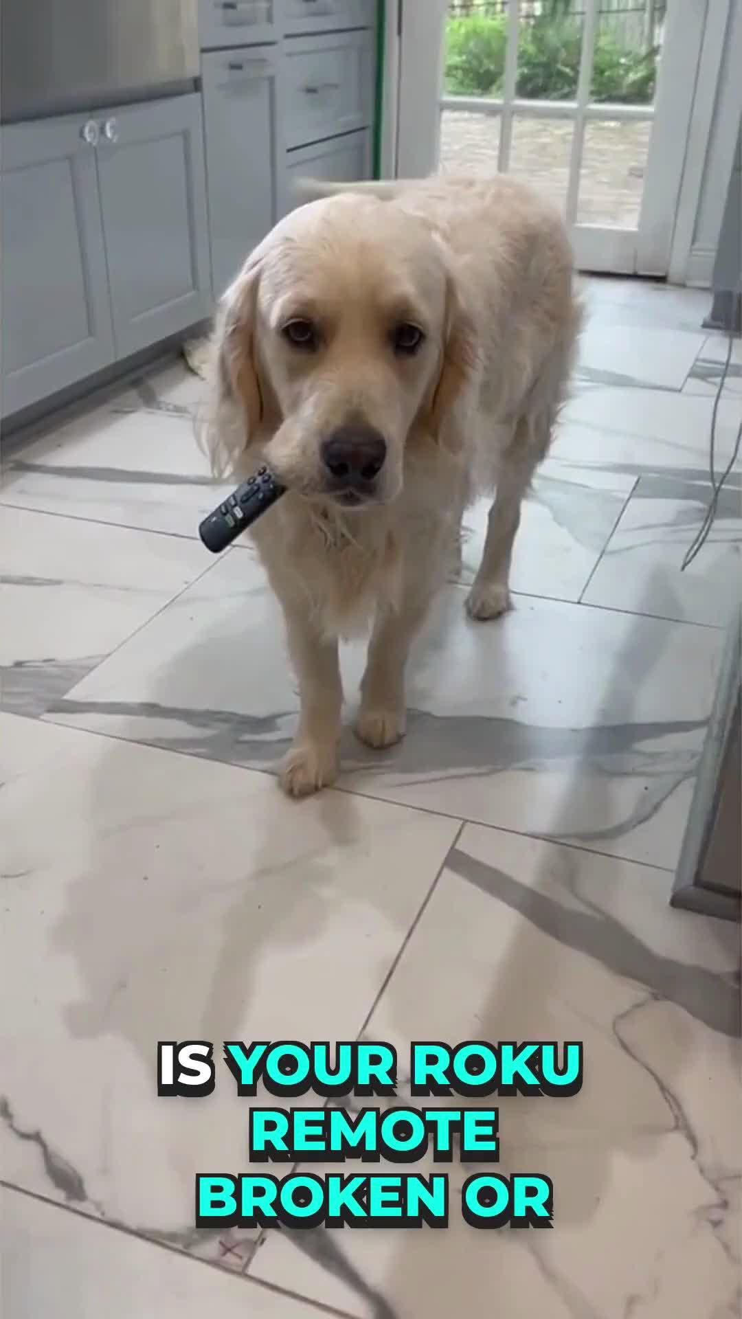 Remote Roku TV By iPhone. The solution when your home remote is broken or the battery runs out