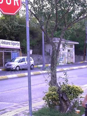 写真を撮って翻訳しよう！