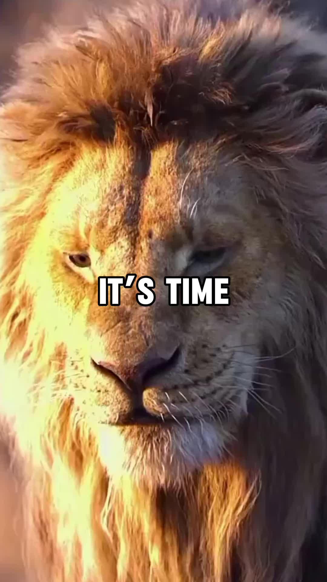 Install App and Boost Personal Growth