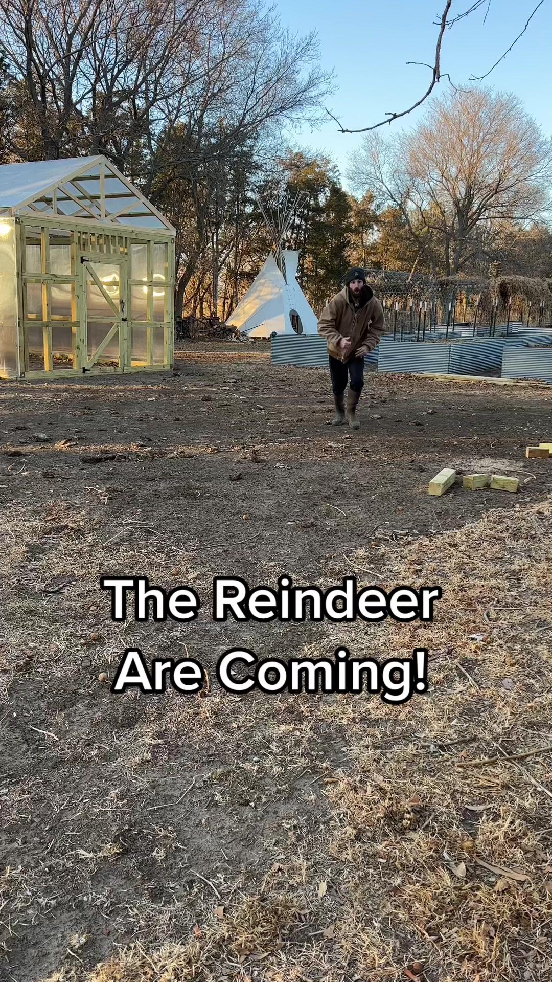 Haven't you always wanted to race a reindeer! Races start in Farmville 3 December 14th - 25th #farmville3 #FV3 #gamingapp #reindeer #animals