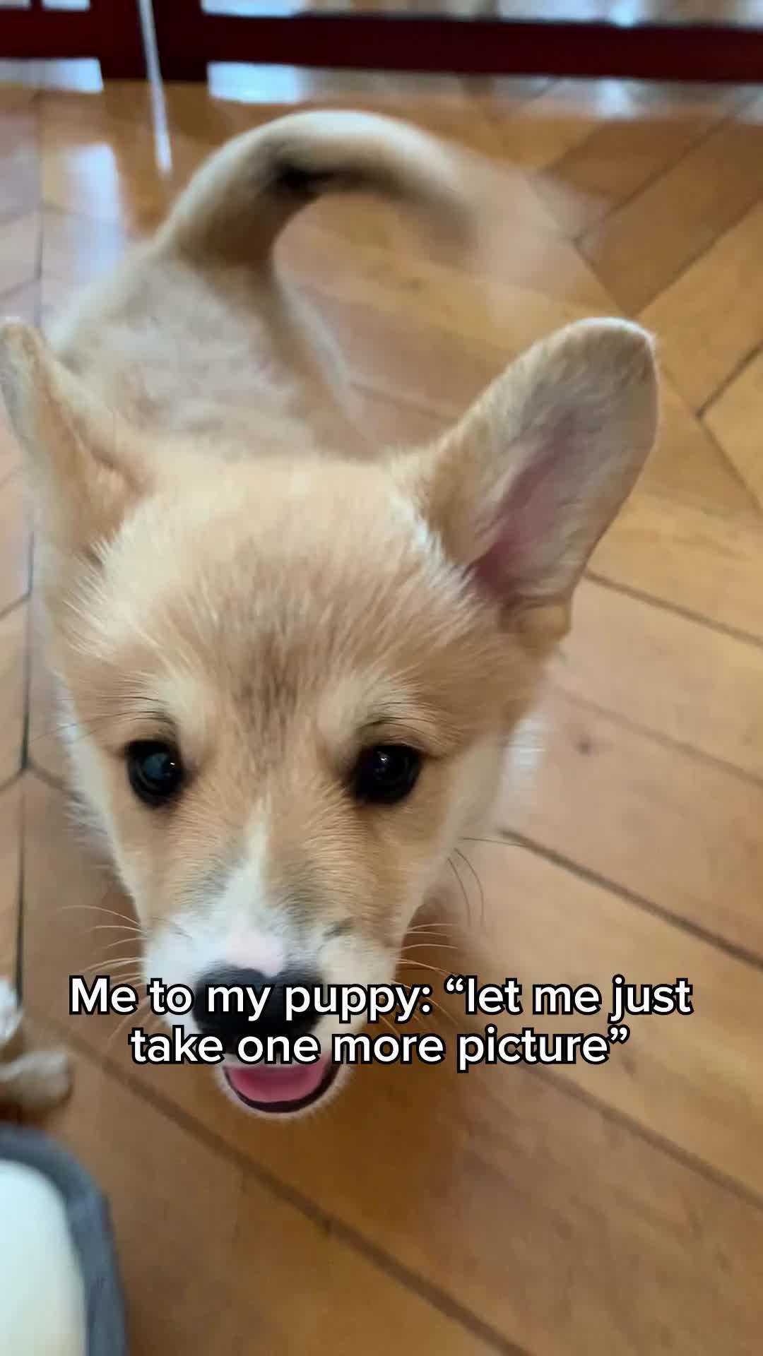 my go to ! #swipewipe #fyp #vannialayah