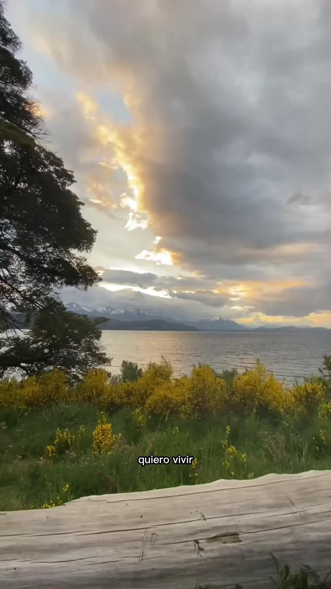 🚍🏕💚  #vanlife #viajarporelmundo #nomada #traveltiktok #campernight 