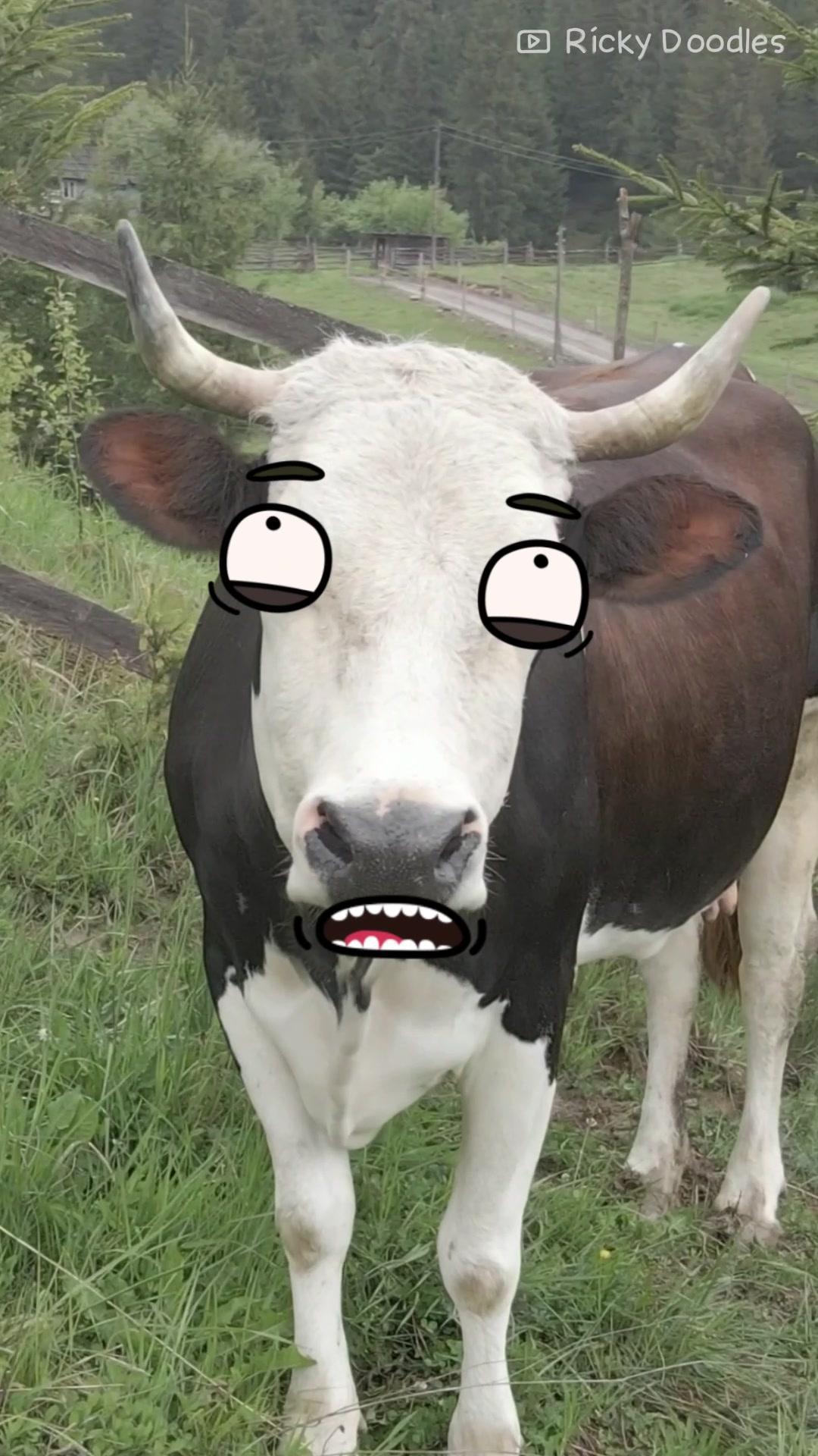 🐮🎮😁  Link in bio to download #FantasyTown #Gamigo #animation #2danimation #animated #cartoon #rickydoodles #game #mobilegame #funny #funnyvideo