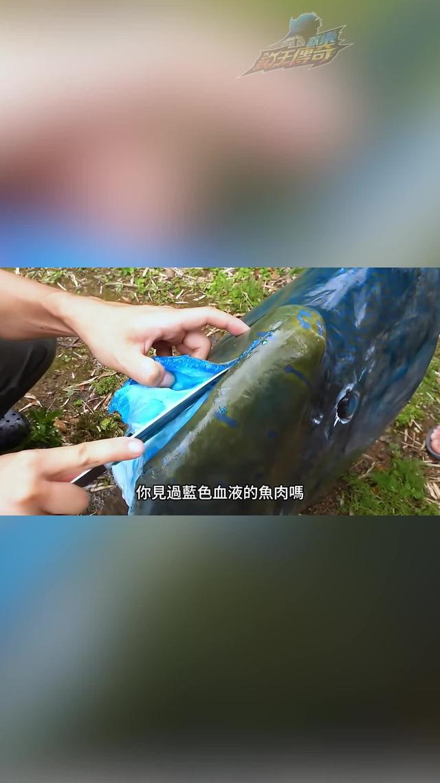 細膩逼真的3D畫面，帶你體驗釣魚的視覺盛宴！立即下載歡樂釣王傳奇！