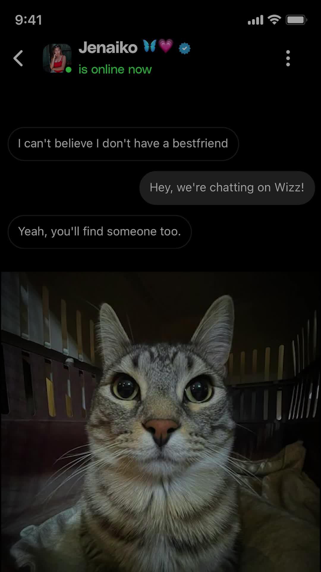 Find your people, only on Wizz