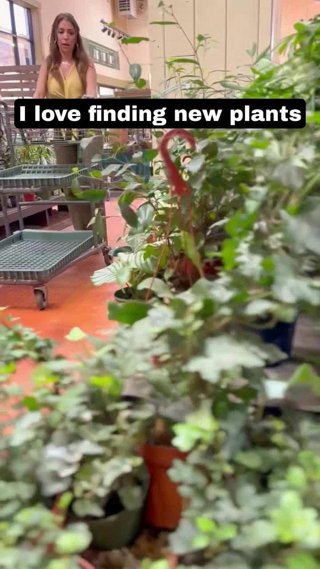 ID your plants & help them thrive with Greg, the smart plant care app.