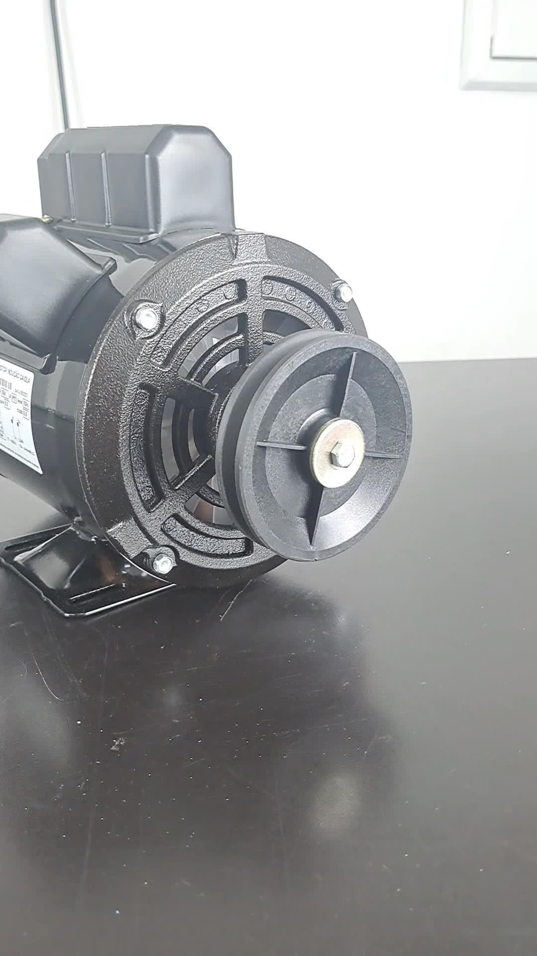 Motor Elétrico Monofásico 2hp 220v Betoneira Compressor 2p