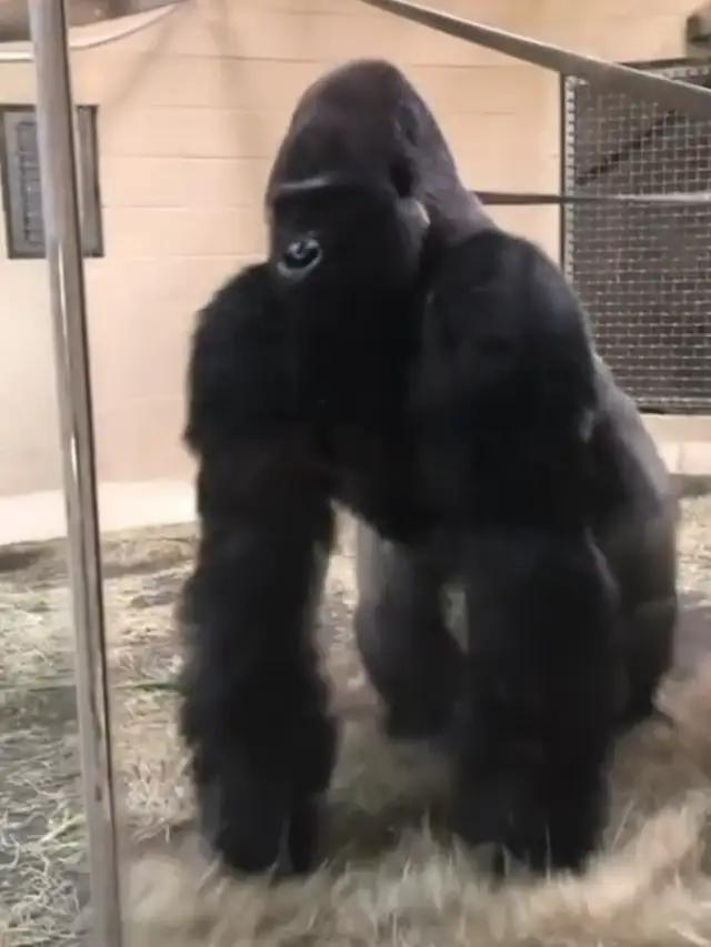 Want cheeky deals? Say YE$ and use promo code YE$ to get up to $8 off your Gojek rides any time, any day, to anywhere!