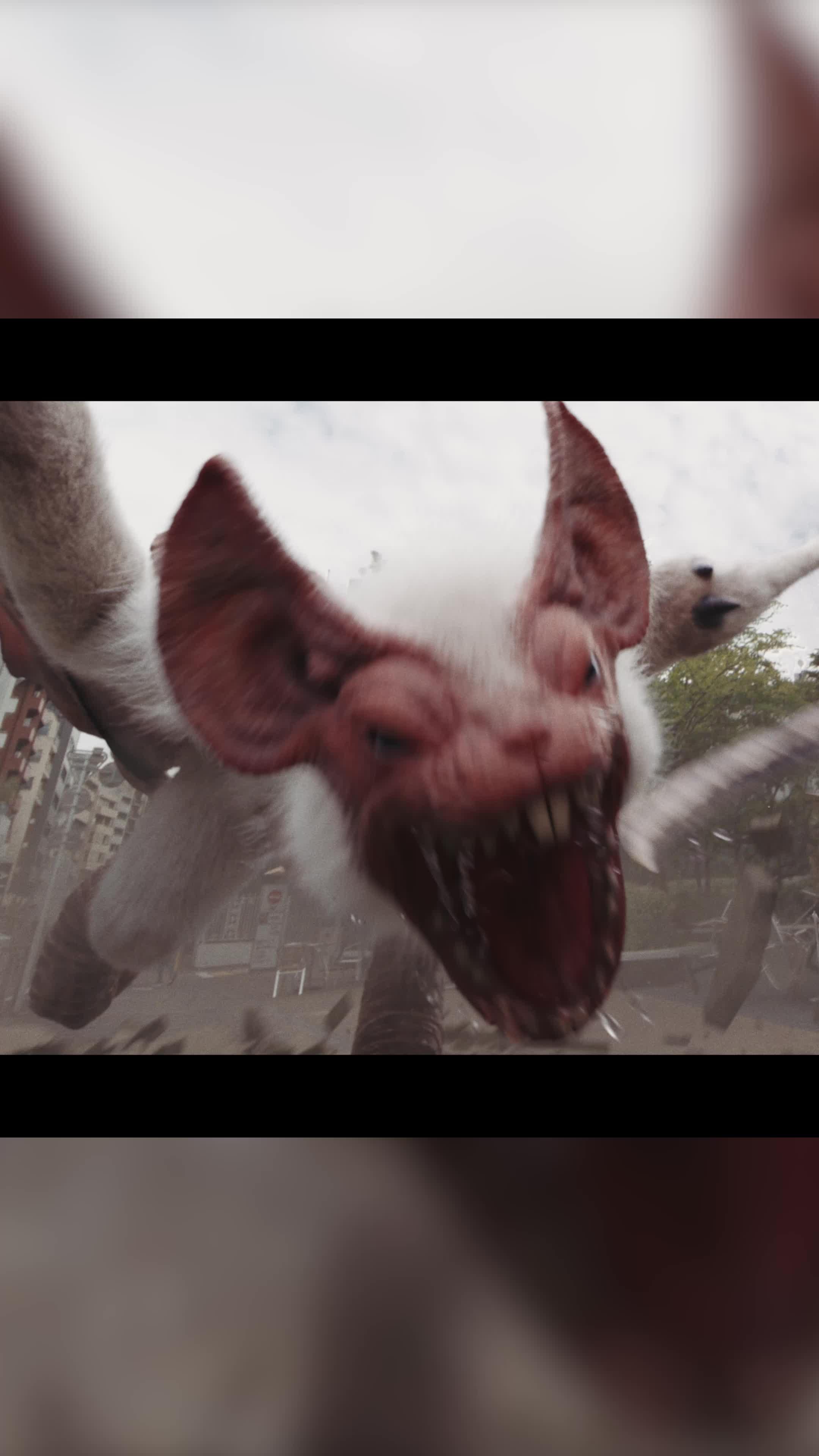 The hunt continues this summer!