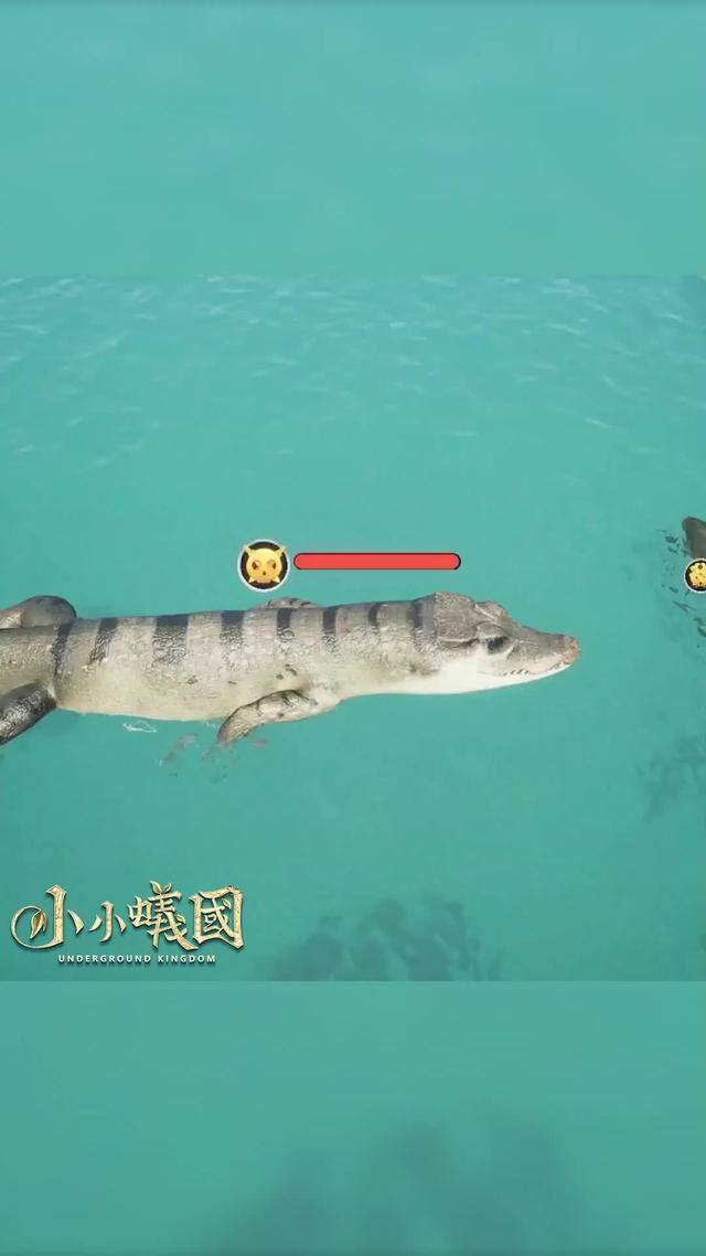 螞蟻王國的戰爭