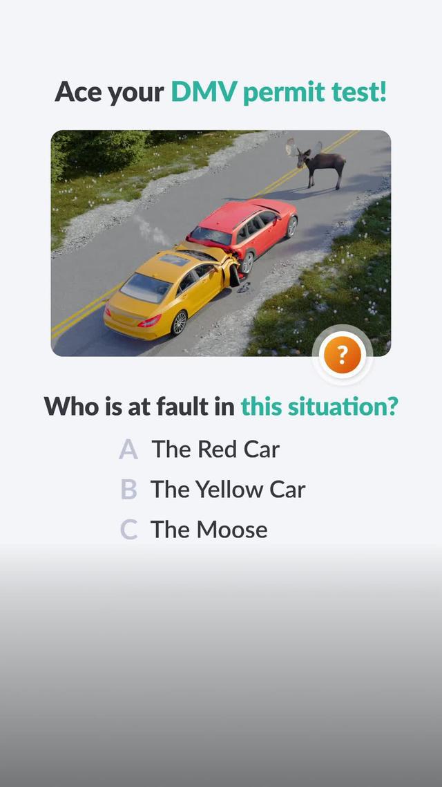 Study for your DMV permit test now!