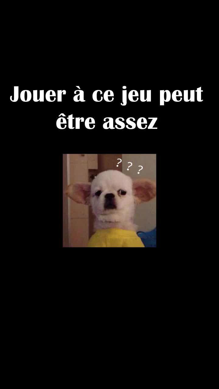 Menez vos chiens pour sauver le monde