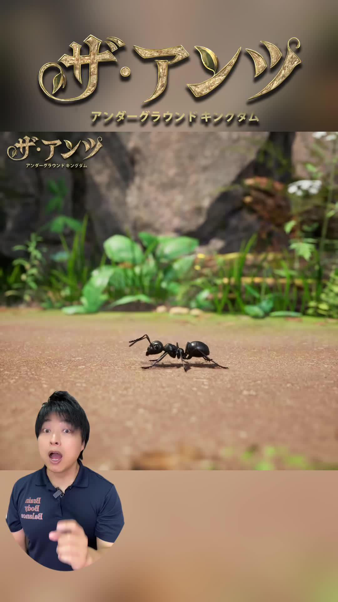 あなたのアリ帝国を築き上げろう