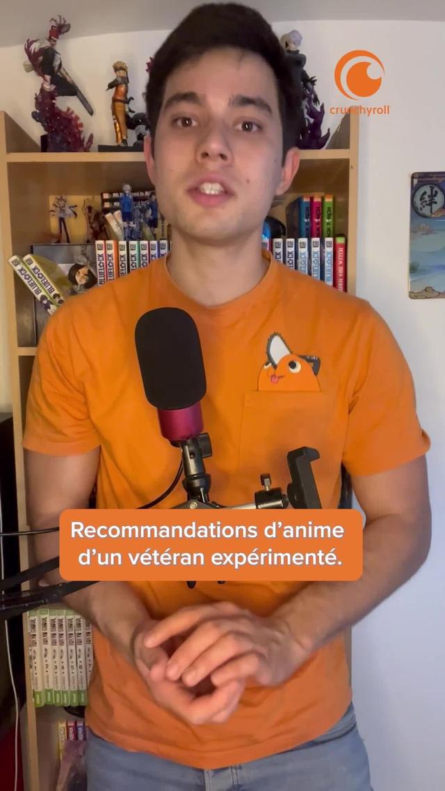 Anime en VF, mode hors-ligne, clips musicaux et jeux mobiles avec Crunchyroll.