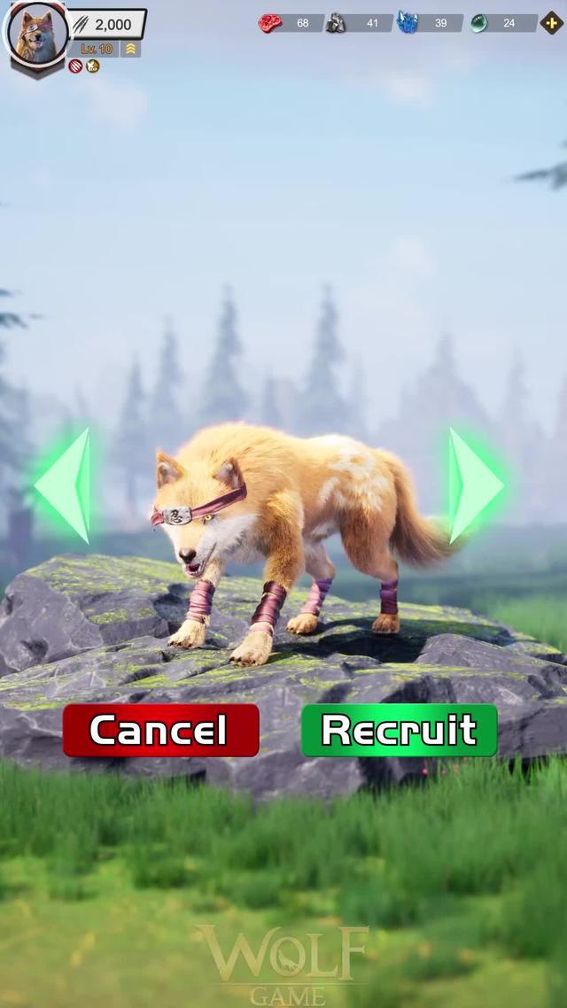 Try to survive and become stronger in the wild!