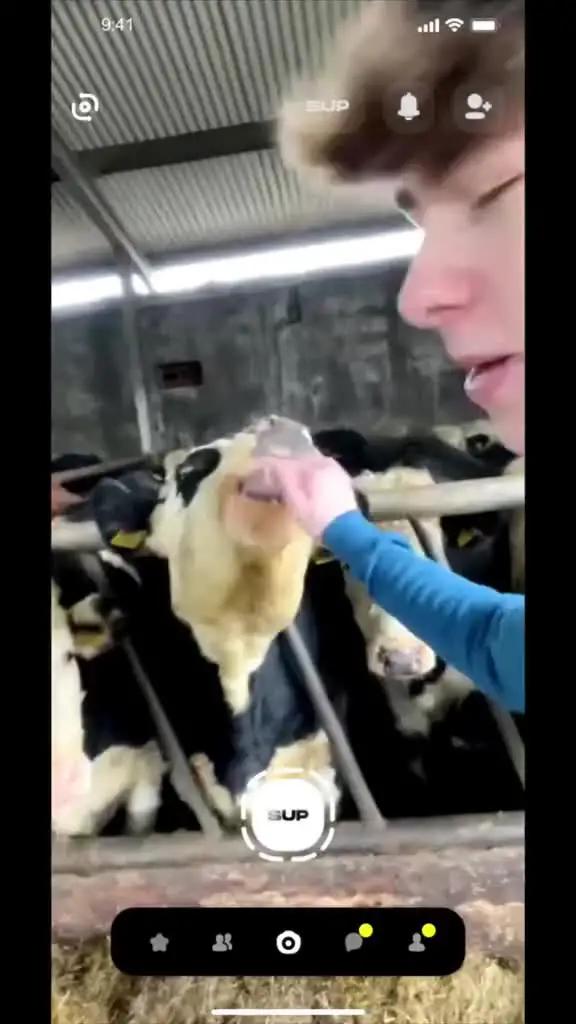 See who's checking in on you with the Frog app.