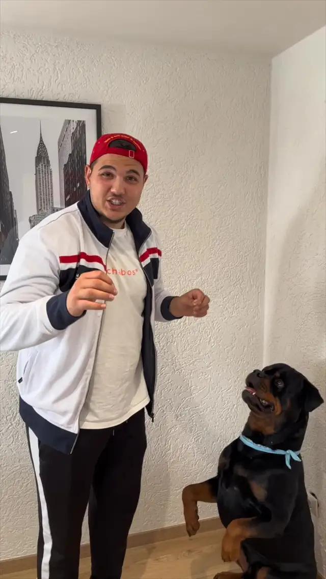 Für jeden Hundefreund geeignet :)