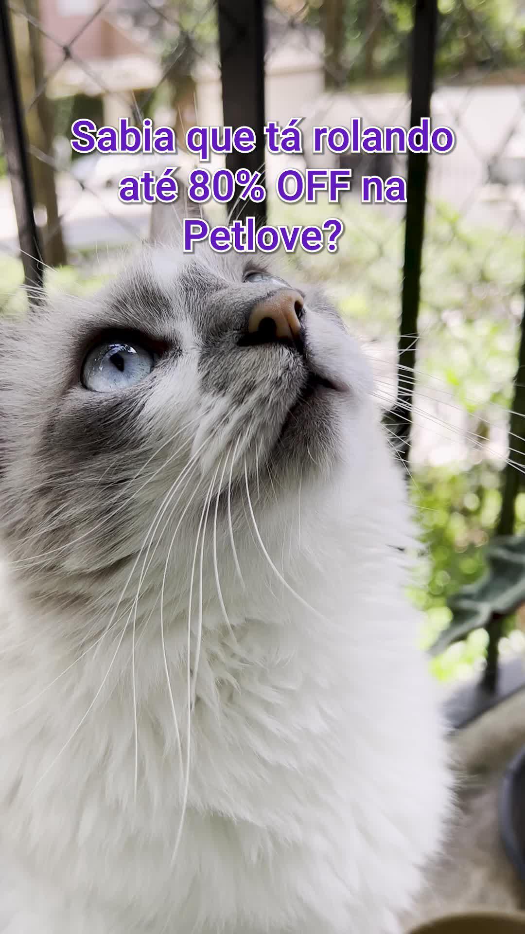 Saldão Petlove tá on! Aproveite até 80% Off pra Levar Tudo que seu pet Precisa!
