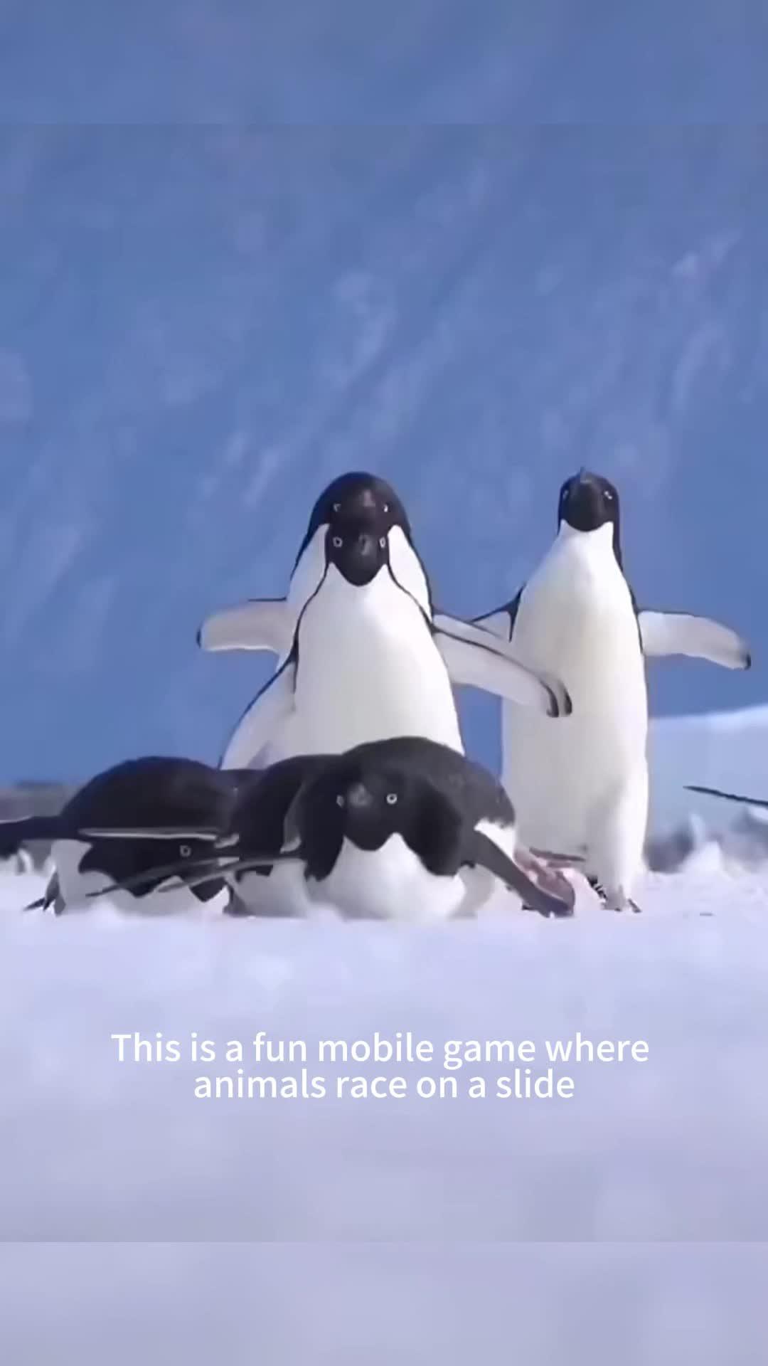 OMG! My Childhood Toy!