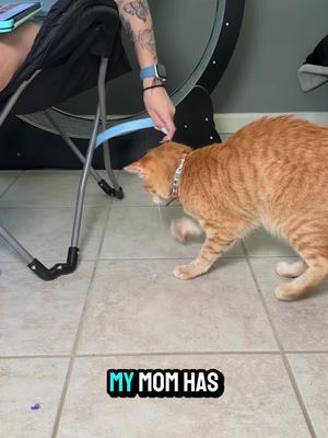 ¡Advertencia - ¡Diversión altamente adictiva!