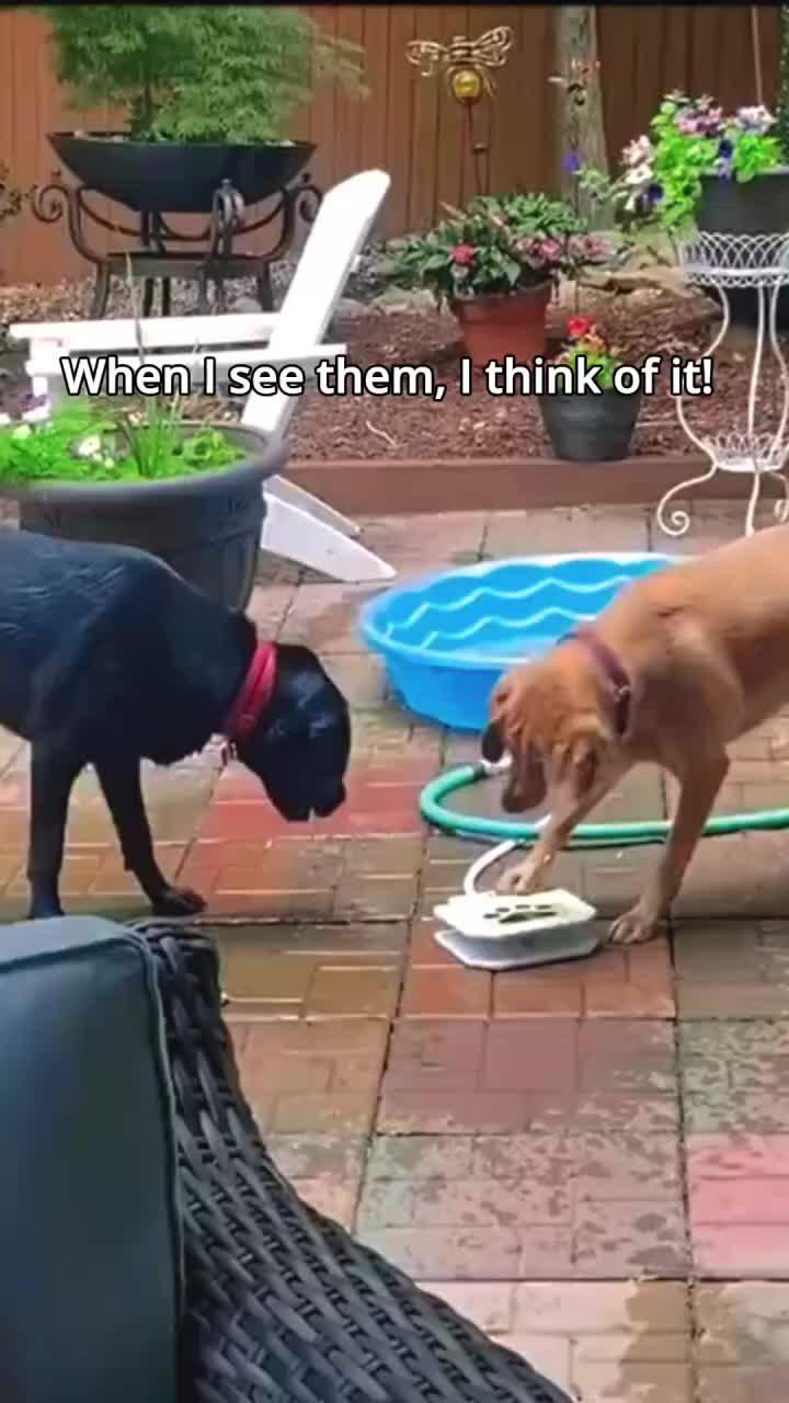 Cute game for Cute People！！