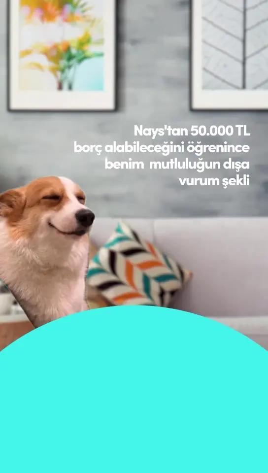 Nakit ihtiyacın varsa Nays yanında! Sen de Nays’la, 50 bin TL’ye kadar borç alma fırsatını kaçırma!