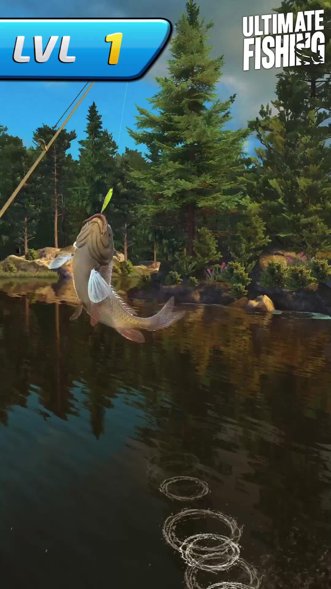 Can you catch all the fishes?