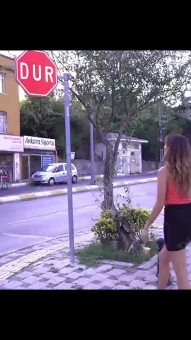 أفضل مترجم كاميرا / مترجم لا يمكن أن يفوتك.