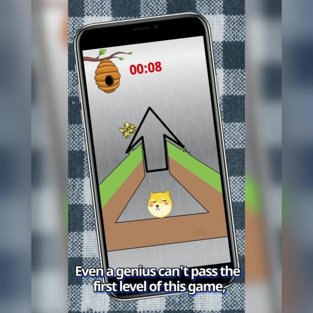 How many levels can you pass?