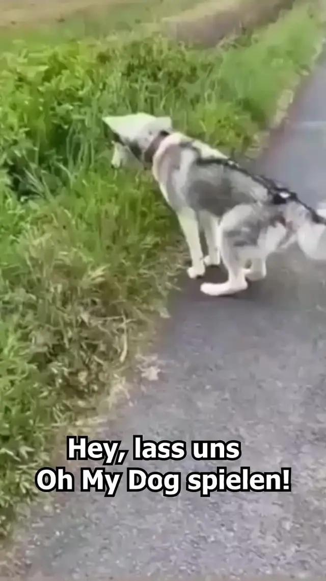 Jetzt Herunterladen!