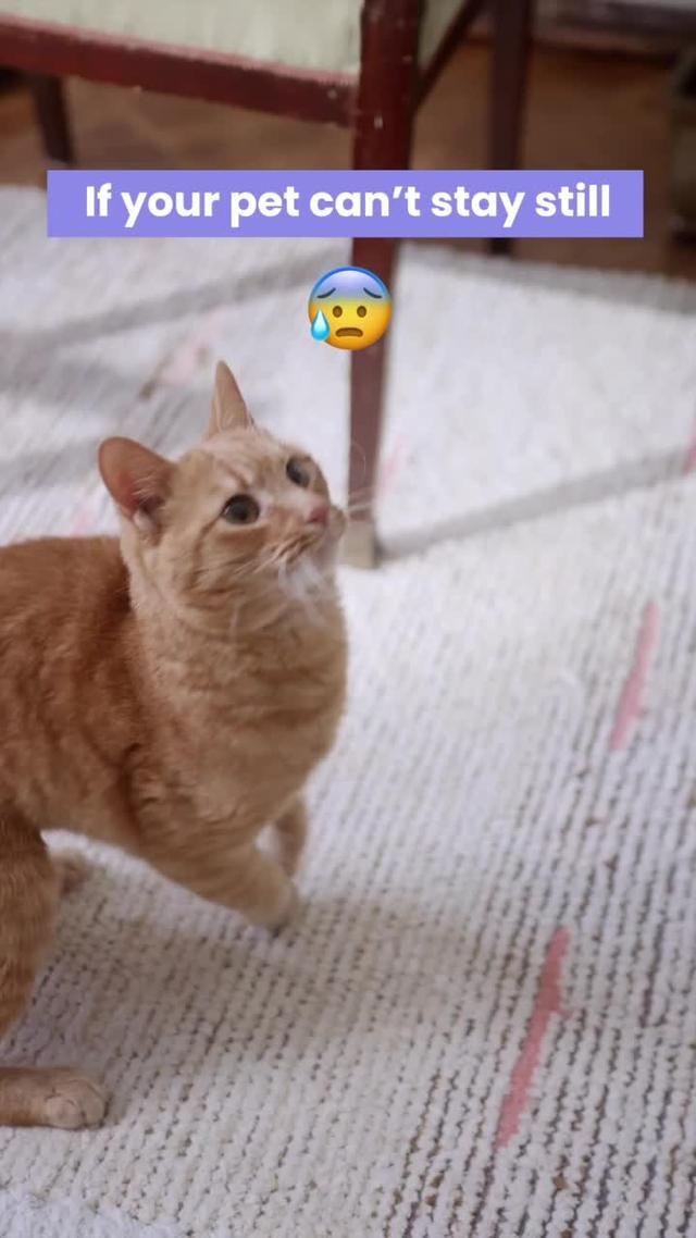 Exactly what you need