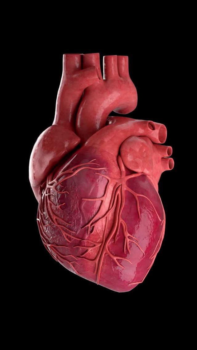 Heart rate monitor and blood pressure monitor can measure your heart rate