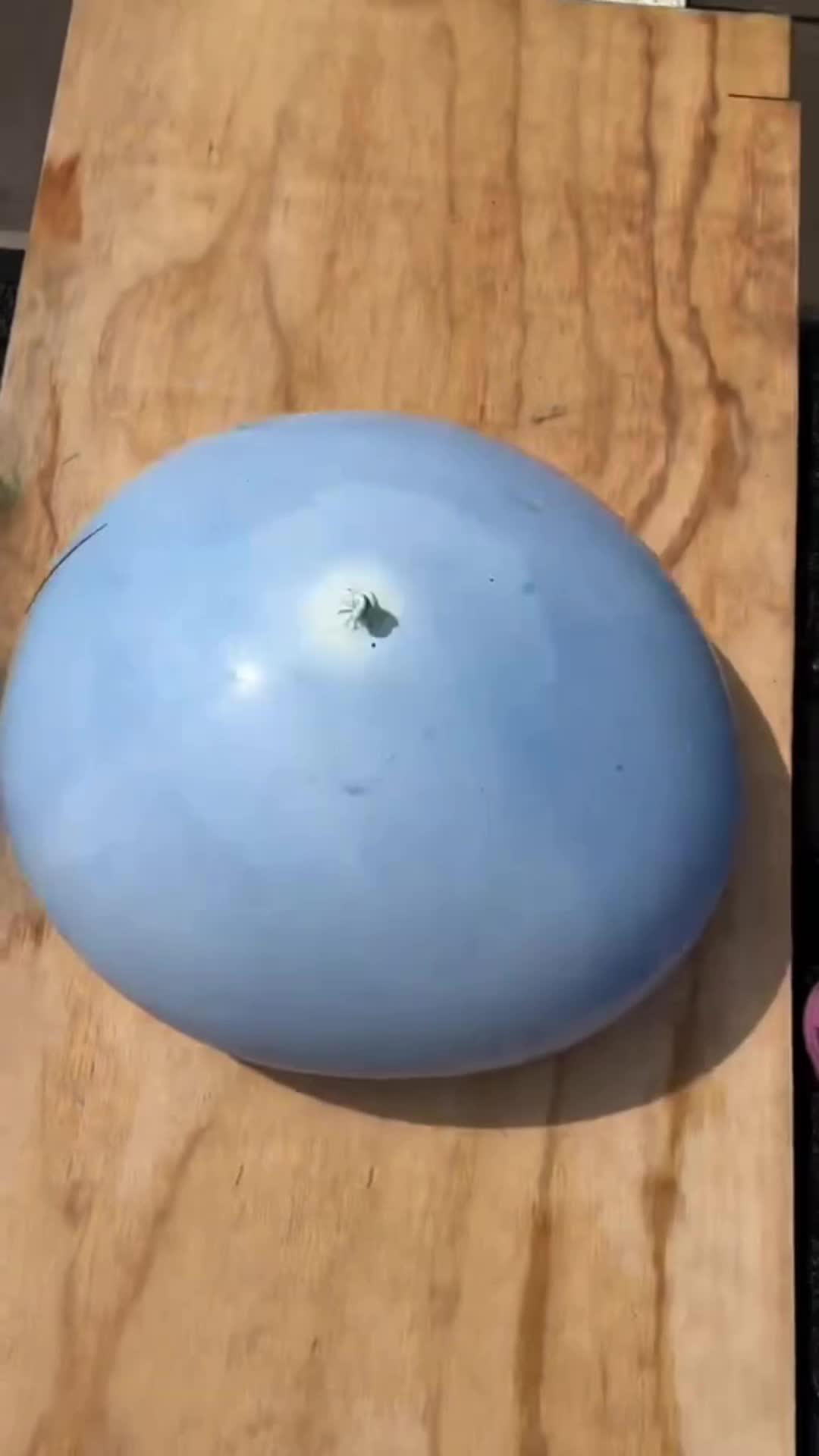 DIY your own mobile desktop ! Try it free now !