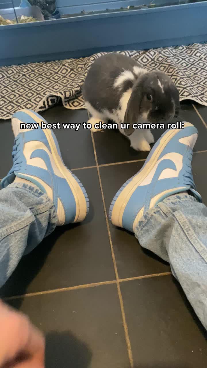 The swipe wipe app is Best way to clear storage🥰 #swipewipe #storagecleanerapp #fyp #viral #trend