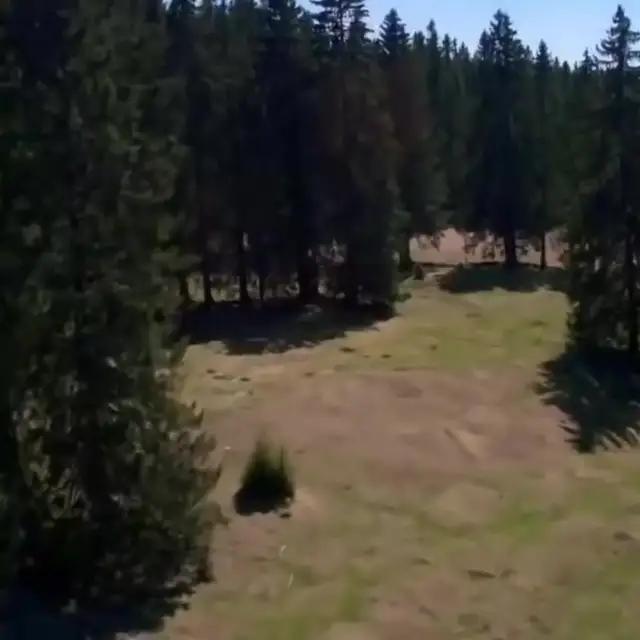 これは蟻族の崛起のだ