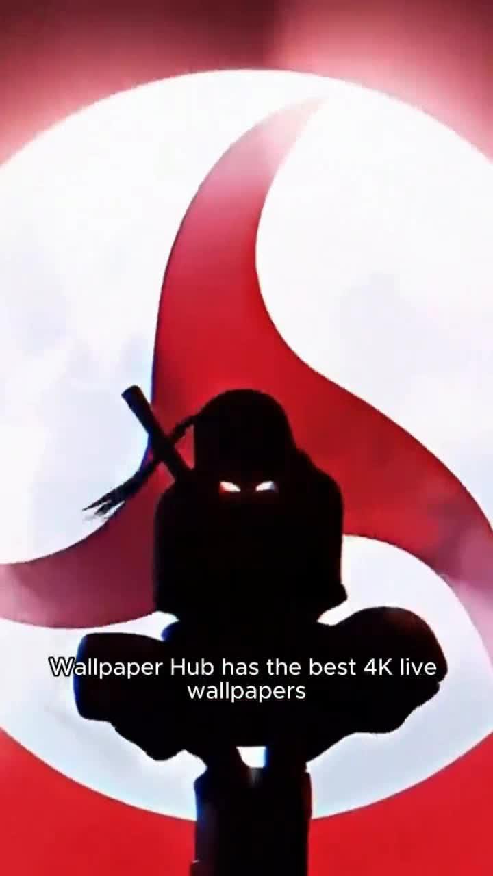 Get 4K Hub For the latest wallpapers!！