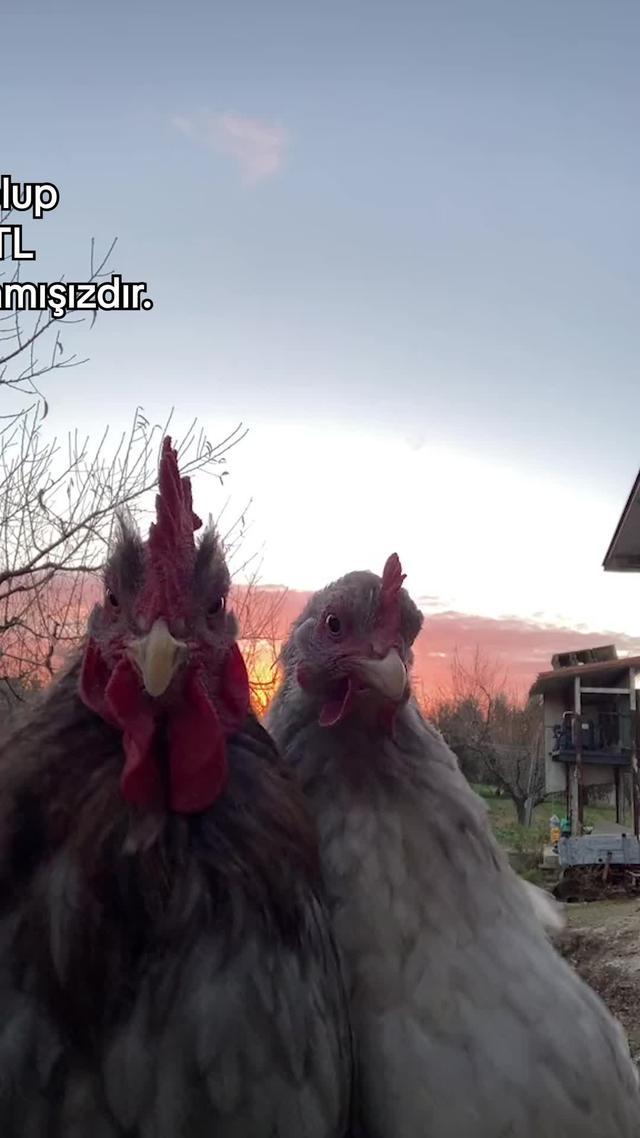 20.000 TL'ye varan %0 faizli taksitli avans fırsatı