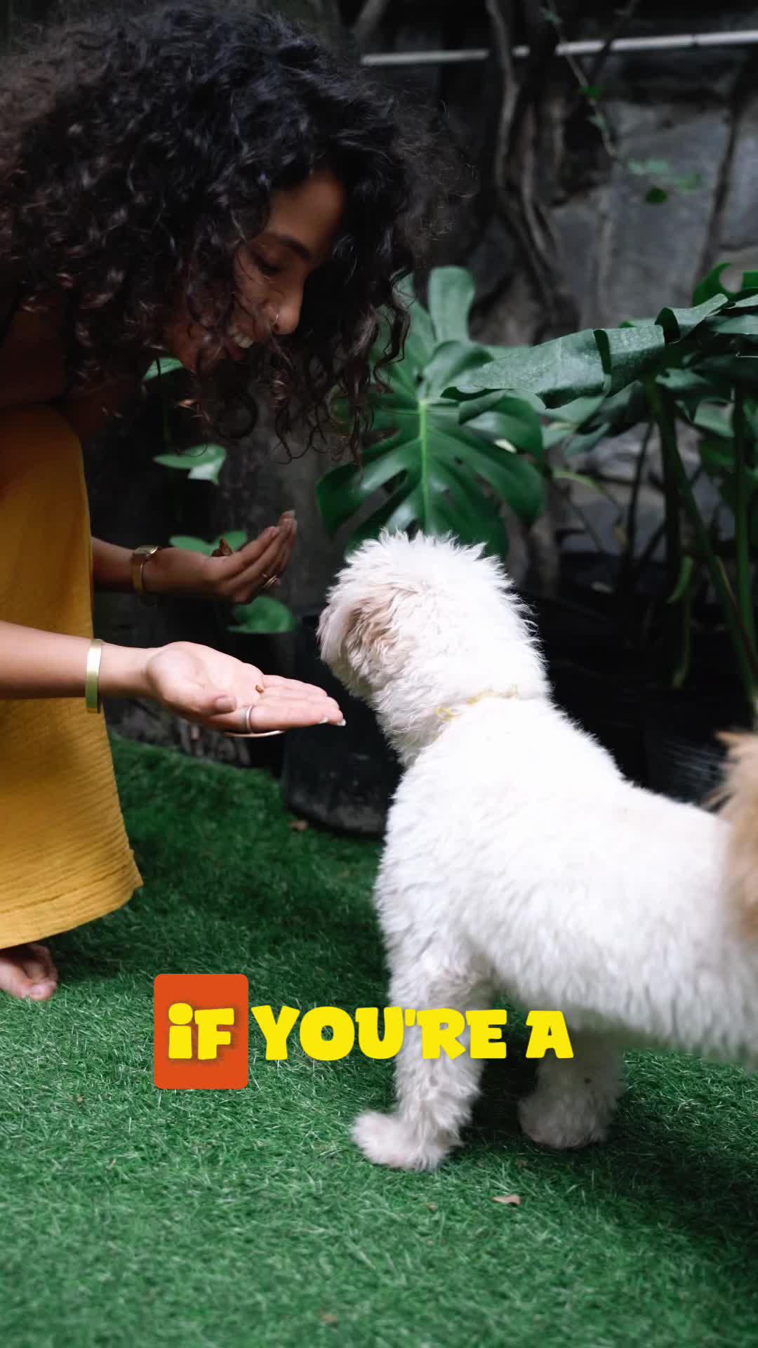 The best dog training app for your furry friend!