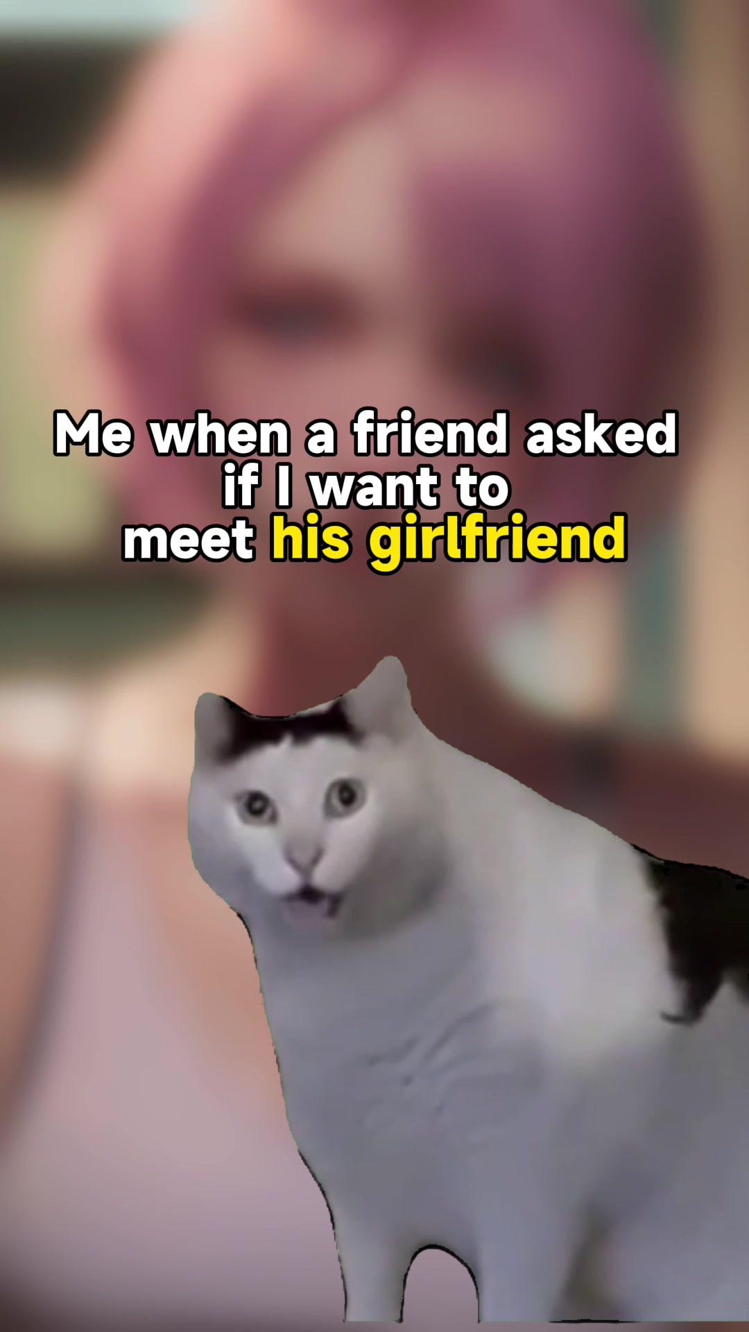 when my homie says he got a gf #playme #playmeai #fyp #egirl #aigirl #aigirlfriend #meme #cat #catmeme