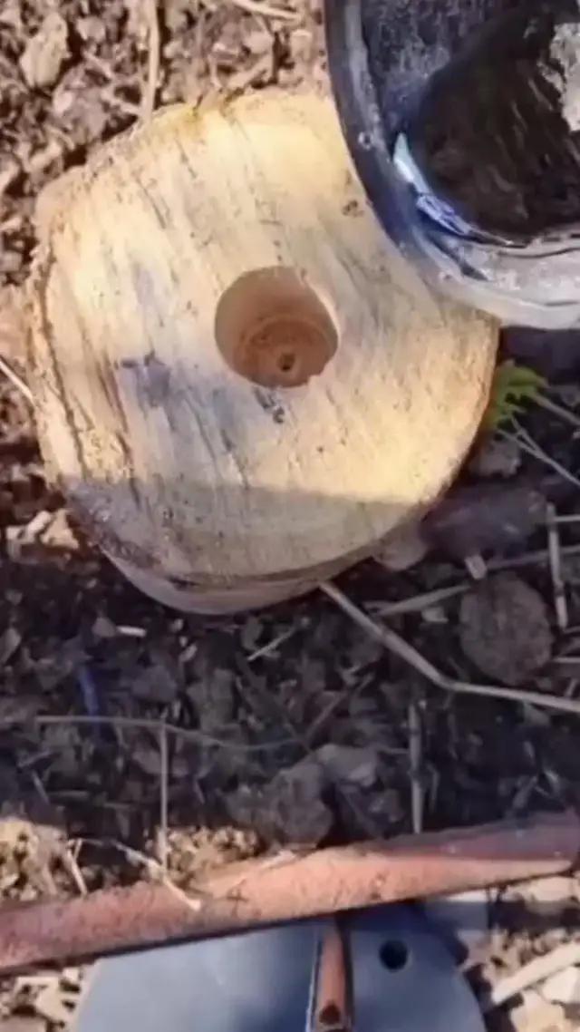 집을 꾸미고, 호텔을 운영하고, 온갖 재미있는 손님을 만나보세요~ 여러분만의 5성급 호텔을 지어보세요!