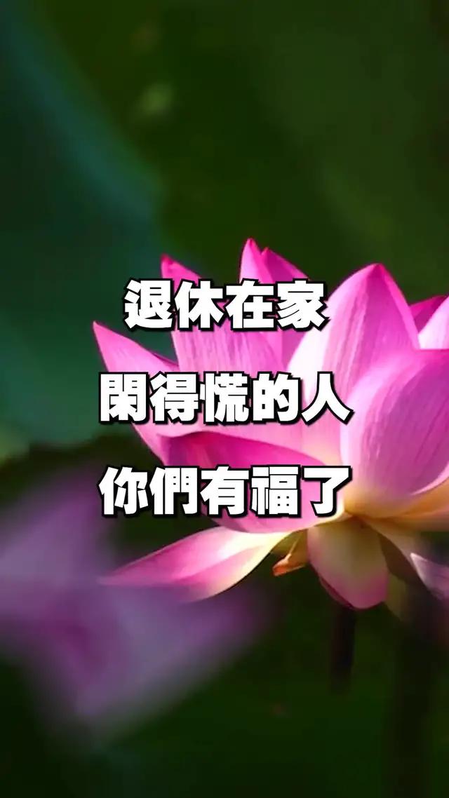 這款遊戲真的讚爆了！快來一起戰鬥！