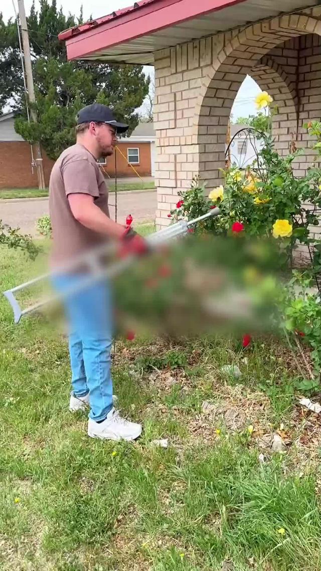 Pourquoi ce jeu est-il si agréable ? Jouez maintenant.