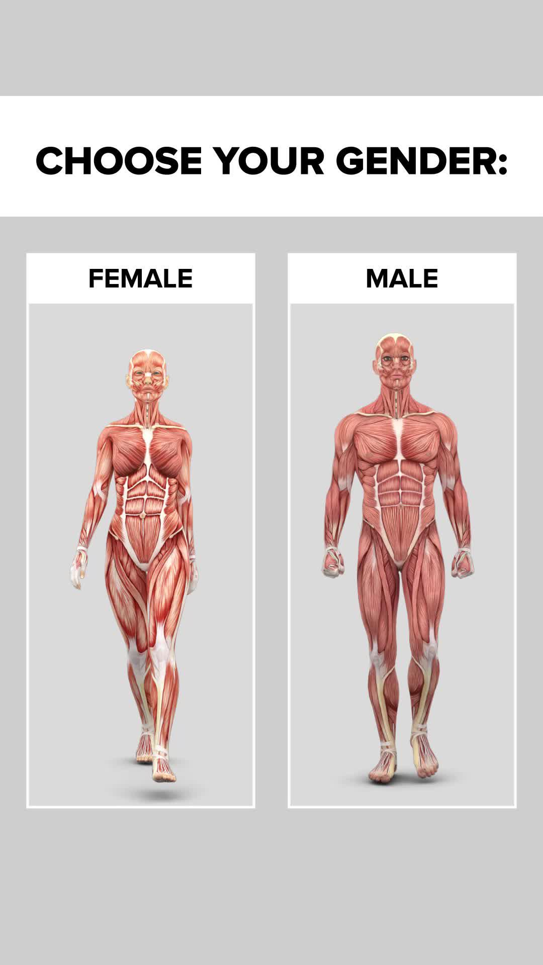 Personalized fitness plan!