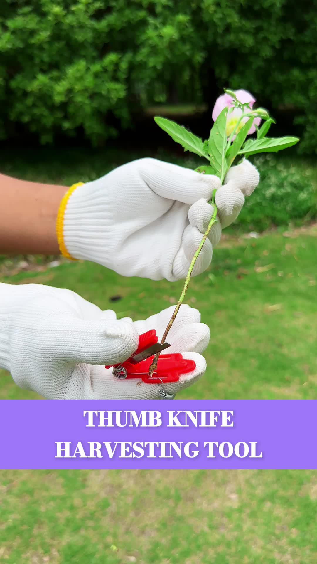 Shop your favorite items on Temu at low prices with great discounts.