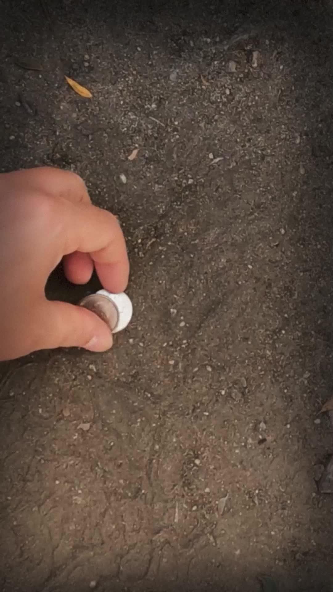 Scan and evaluate your coins now with our mobile app!