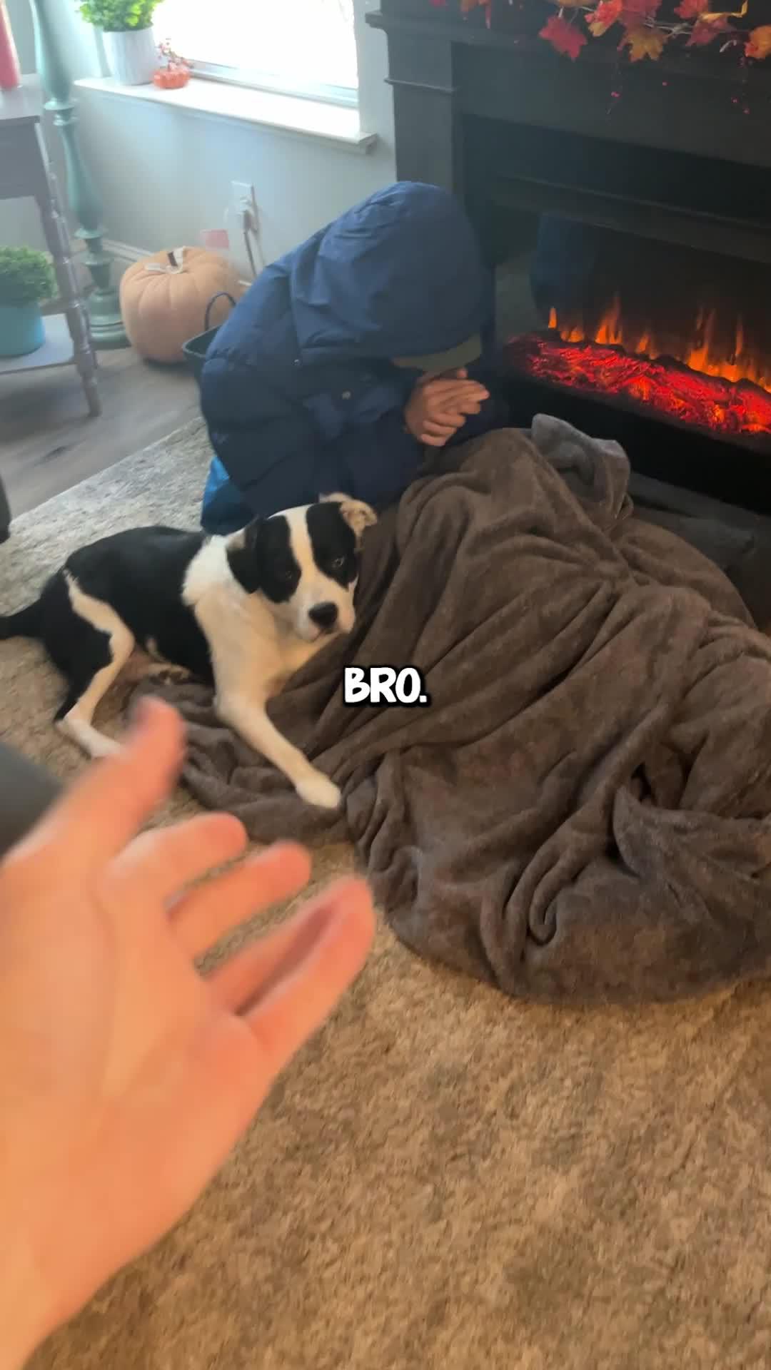 How will you survive in this world buried in ice and snow?