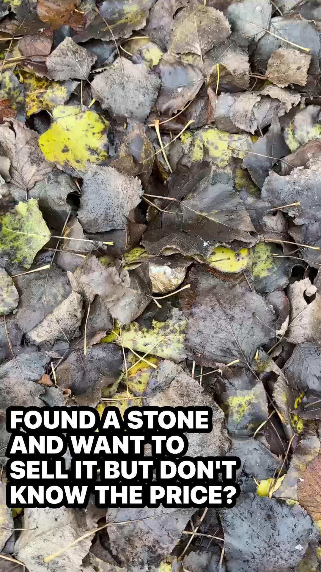 Find Stone will help you identify different types of minerals and gemstones