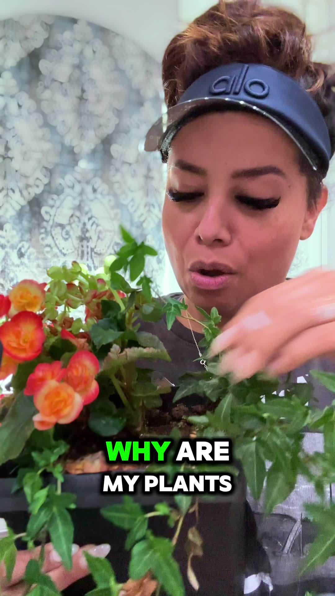 Track your plants' progress. Get personal notifications on plant care. Download Free